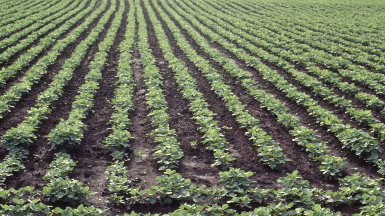 captura_de_pantalla_2013-05-10_a_las_10.41.22_1.png