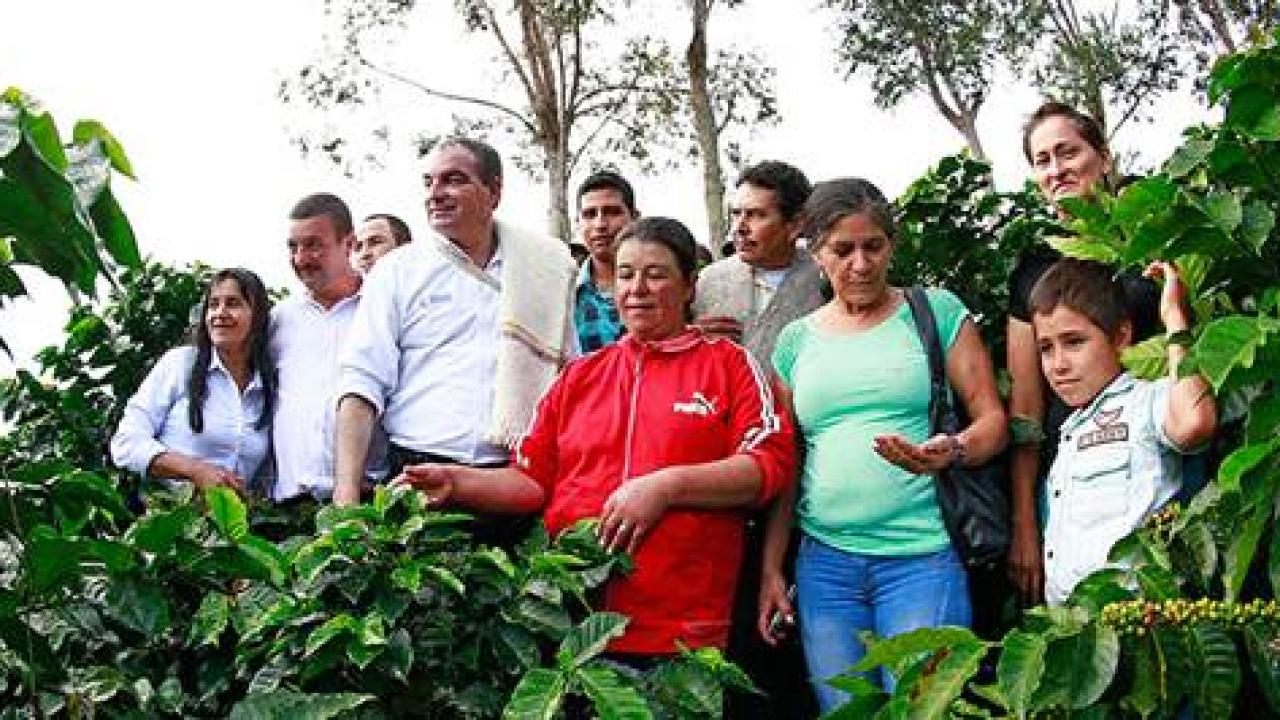 200_mil_fertilizantes.jpg