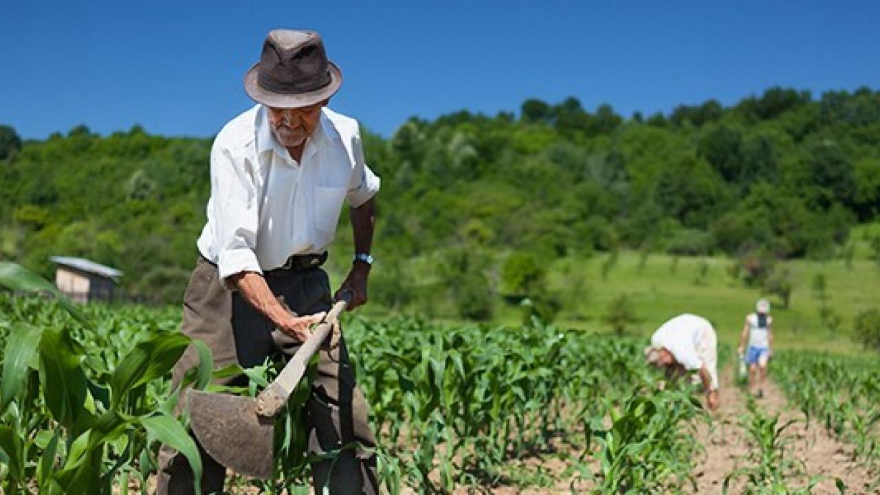 agropecuario.jpg