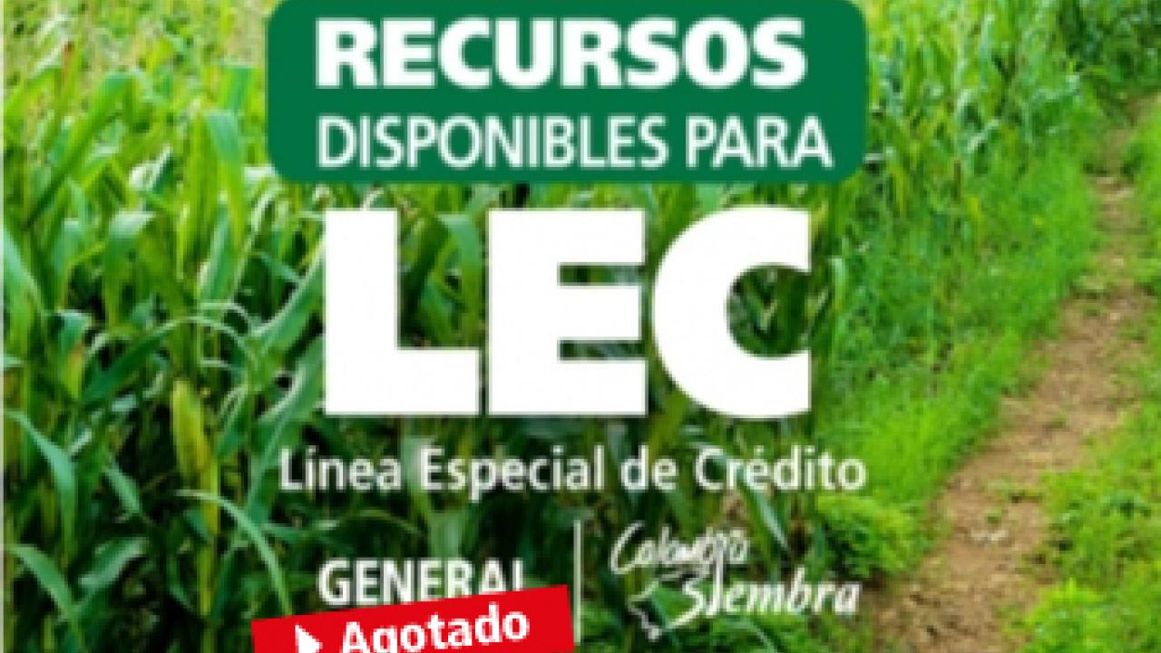 lec.jpg