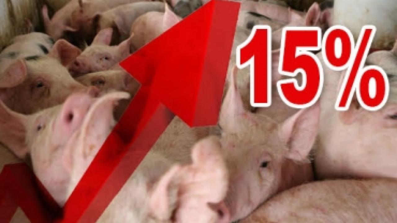 crecimiento_porcicultores.jpg
