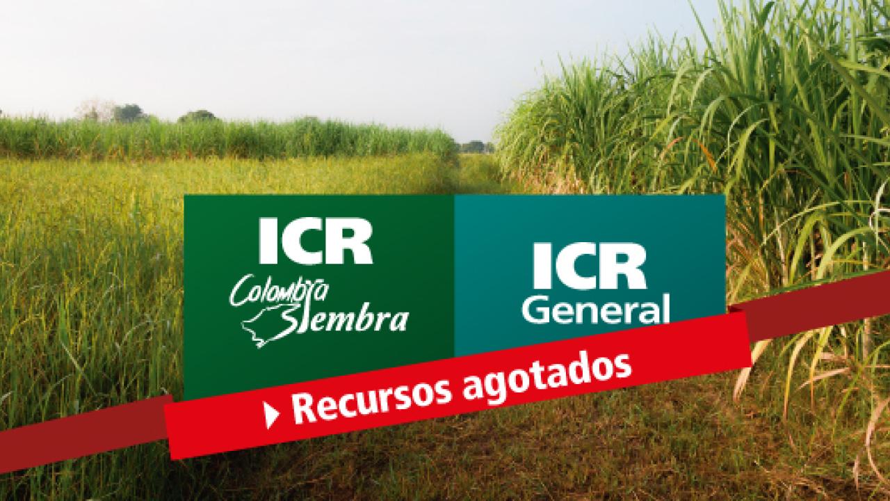 noticia-icr.jpg
