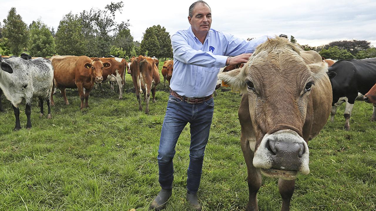 exportaciones_ganado_y_carne.jpg
