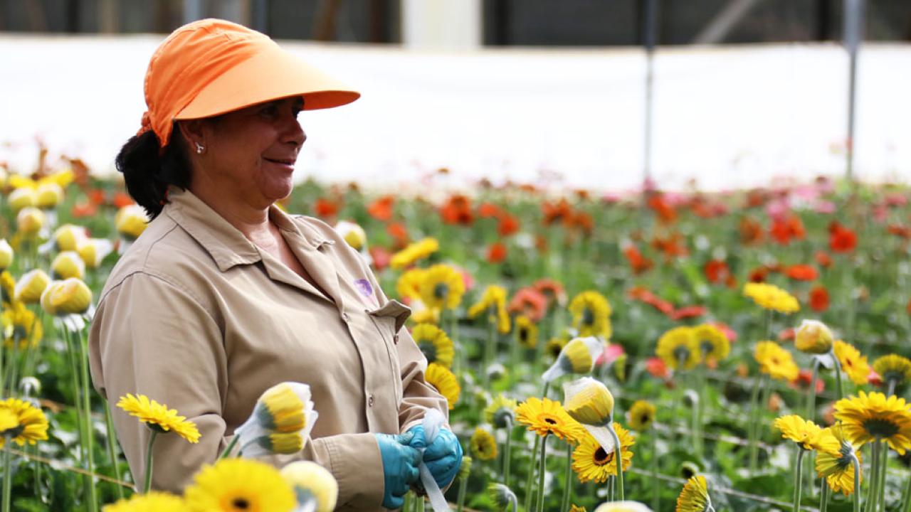 web-construyendo-capacidades-empresariales-rurales-mujeres.jpg