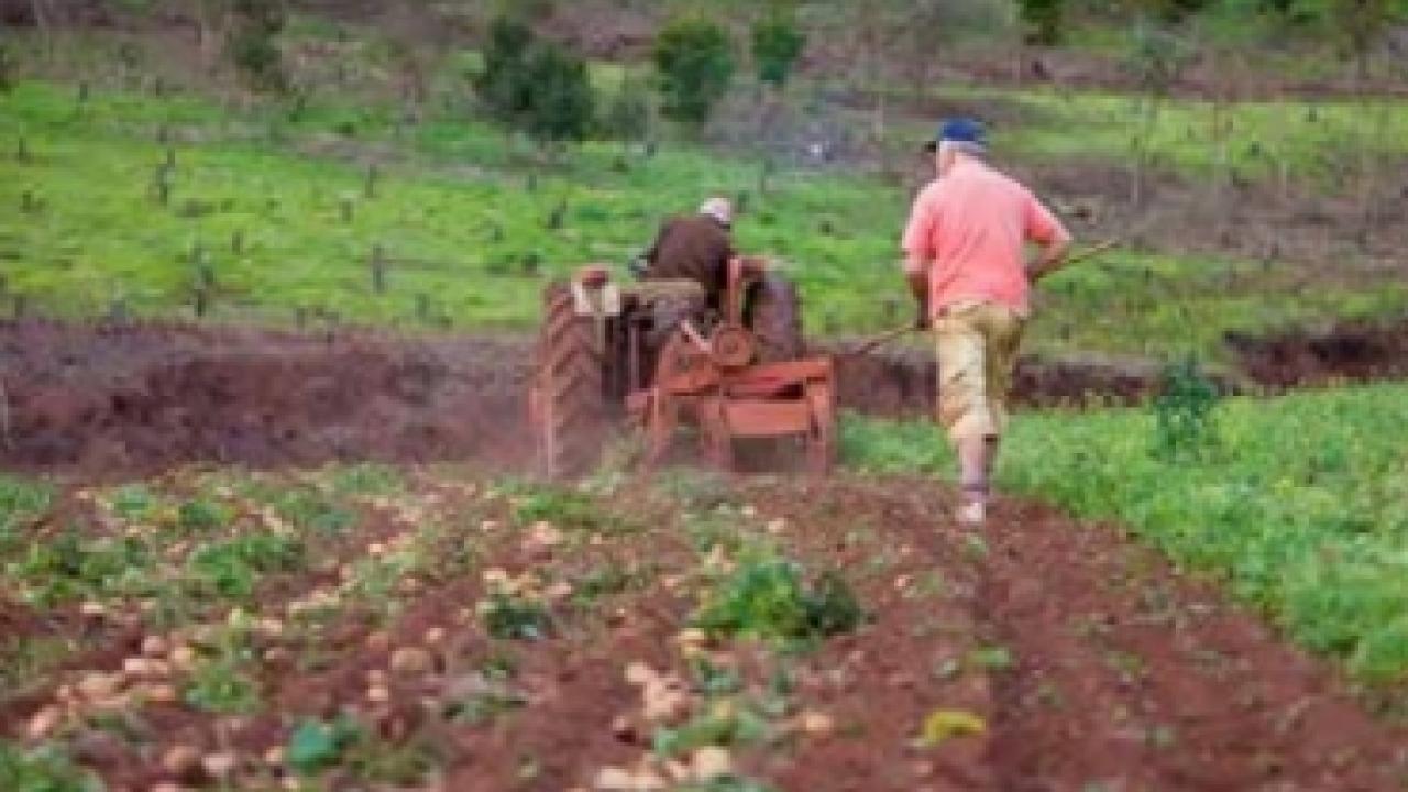 credito_pequenos_campesinos_foto_fiduagraria.jpg