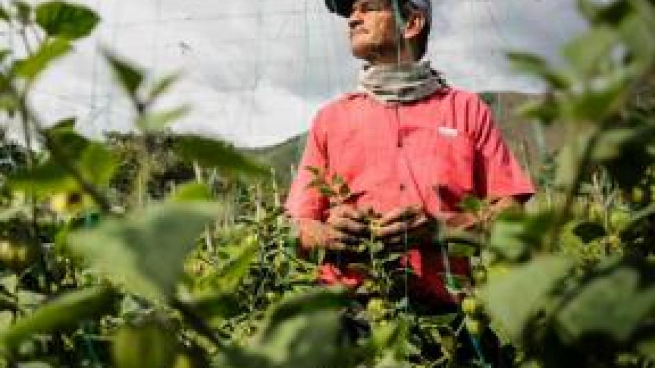 agricultores-2.jpg
