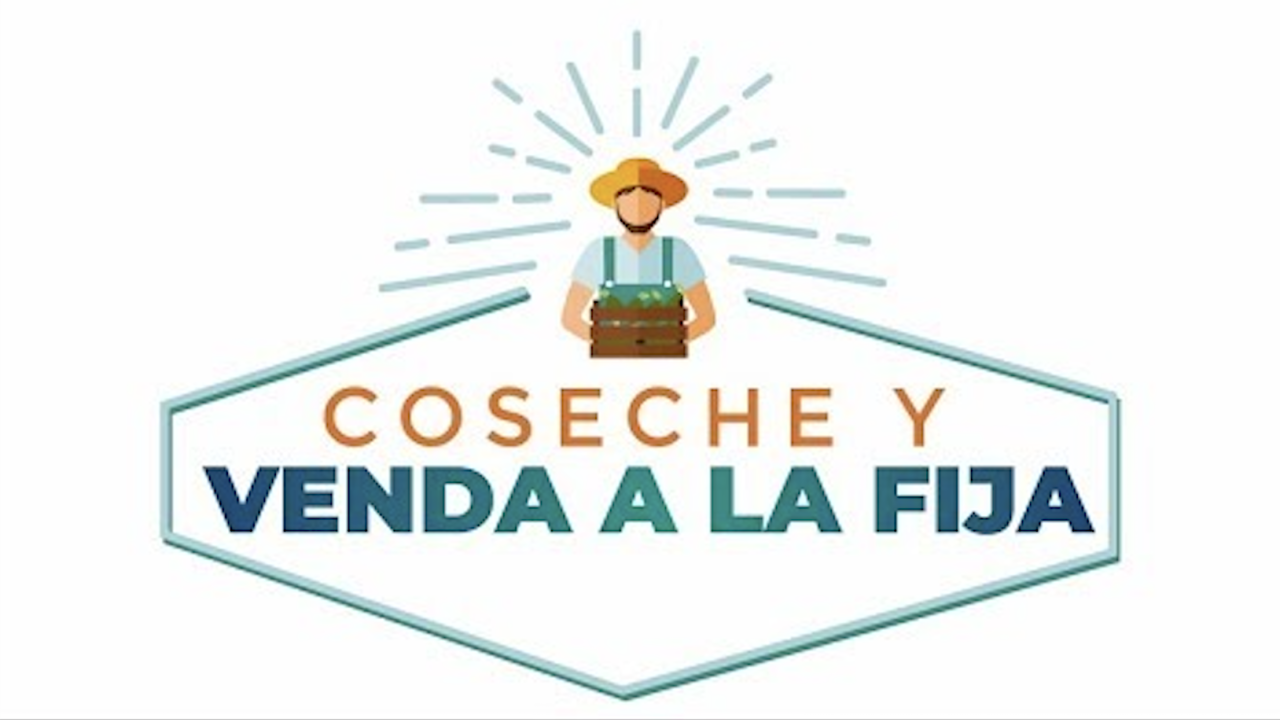 coseche_y_venda_a_la_fija.png