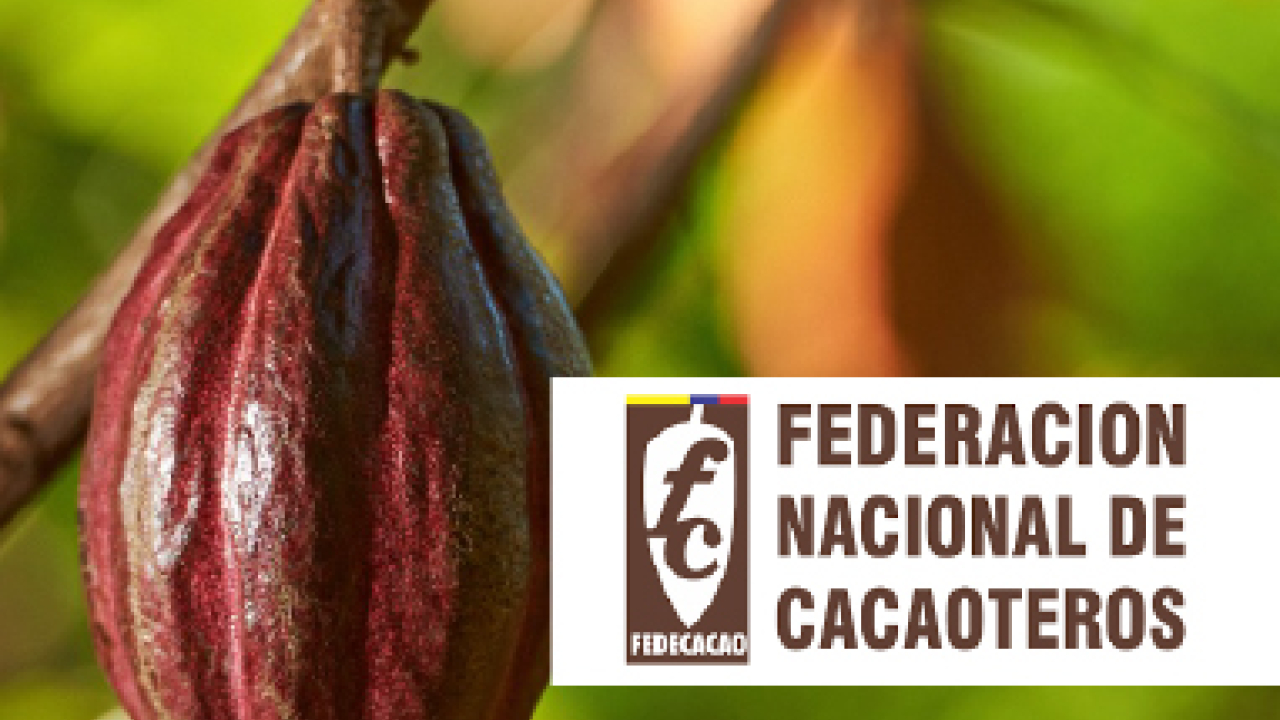 noticia-destacadohome_comunicado-cacao.jpg