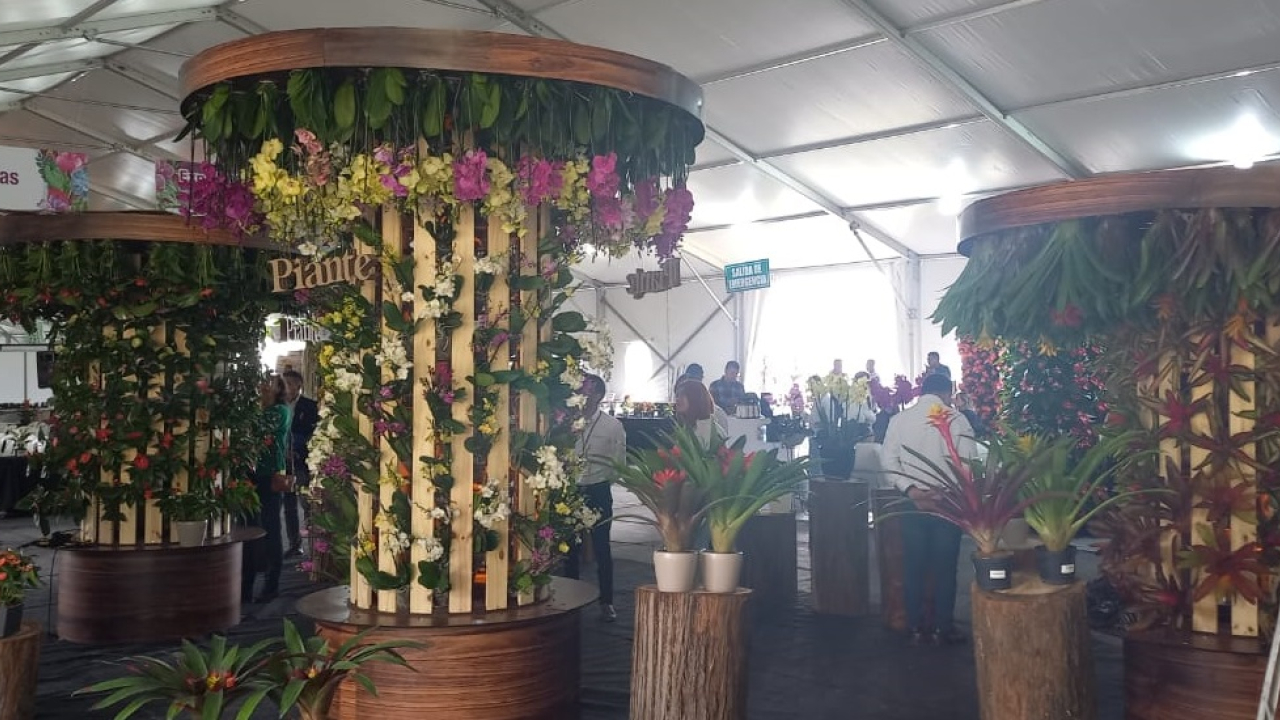 ExpoPlantas 2022, el espacio para productores de plantas ornamentales
