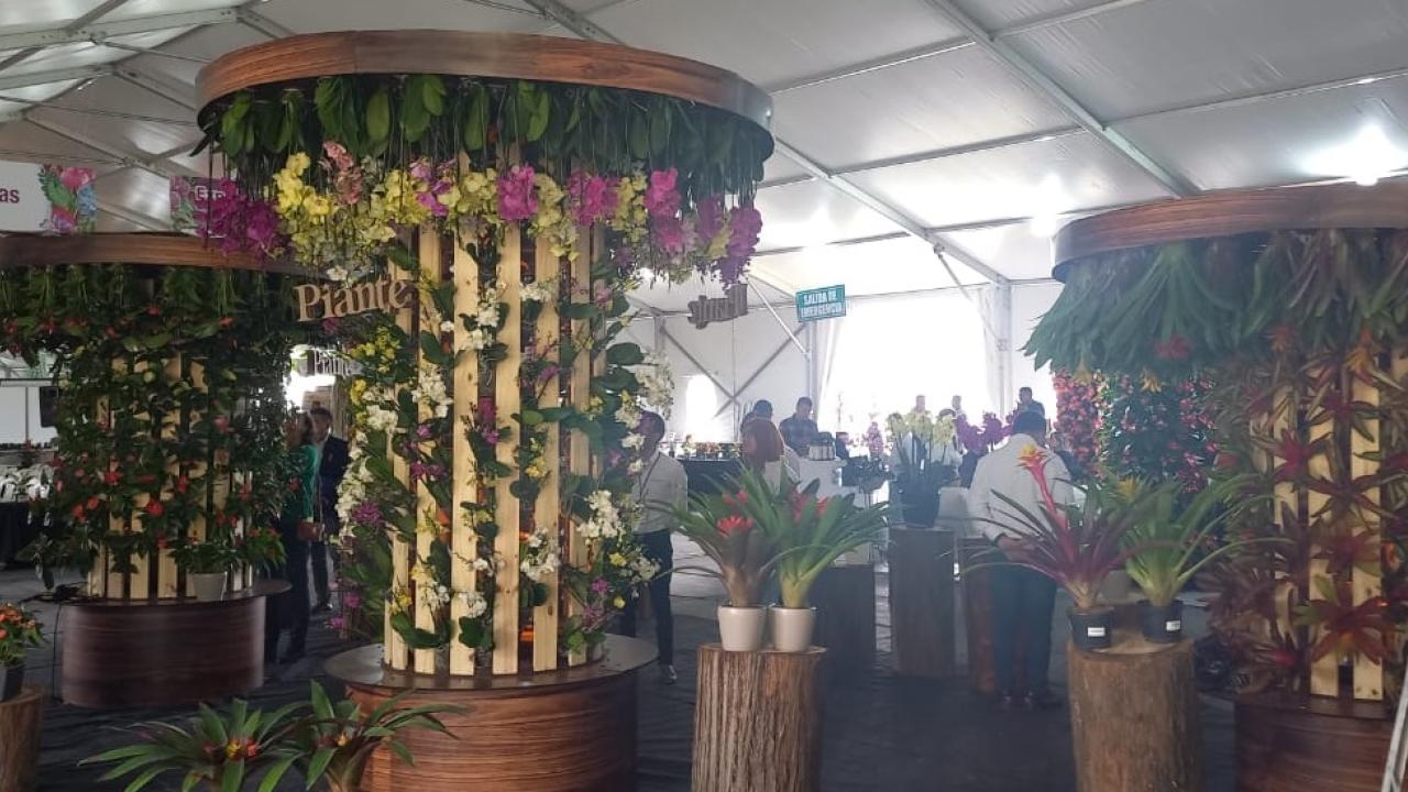 ExpoPlantas 2022, el espacio para productores de plantas ornamentales