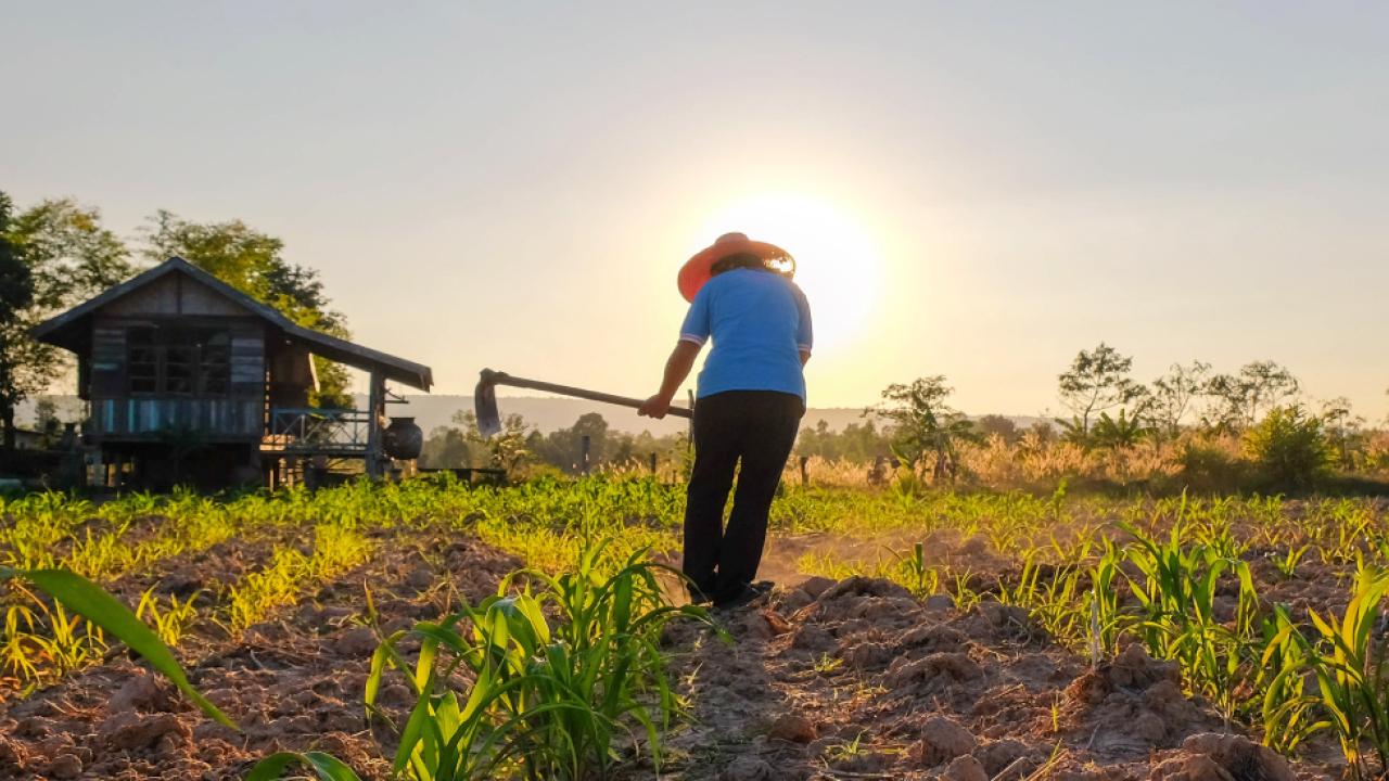 Pol�tica de financiamiento agropecuario se reorienta para darle prioridad a peque�os productores