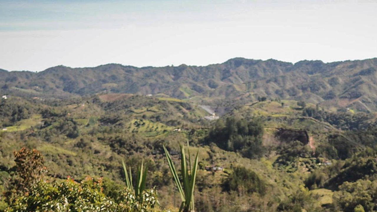 MinAgricultura recibe ofertas de venta de 1.756.000 hect�reas para la reforma agraria