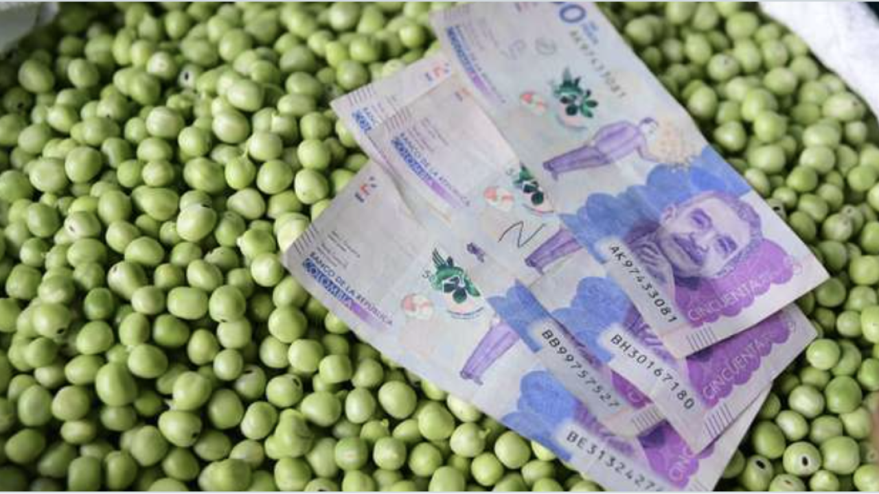 Gobierno define las l�neas de cr�dito para peque�os productores agr�colas en 2023