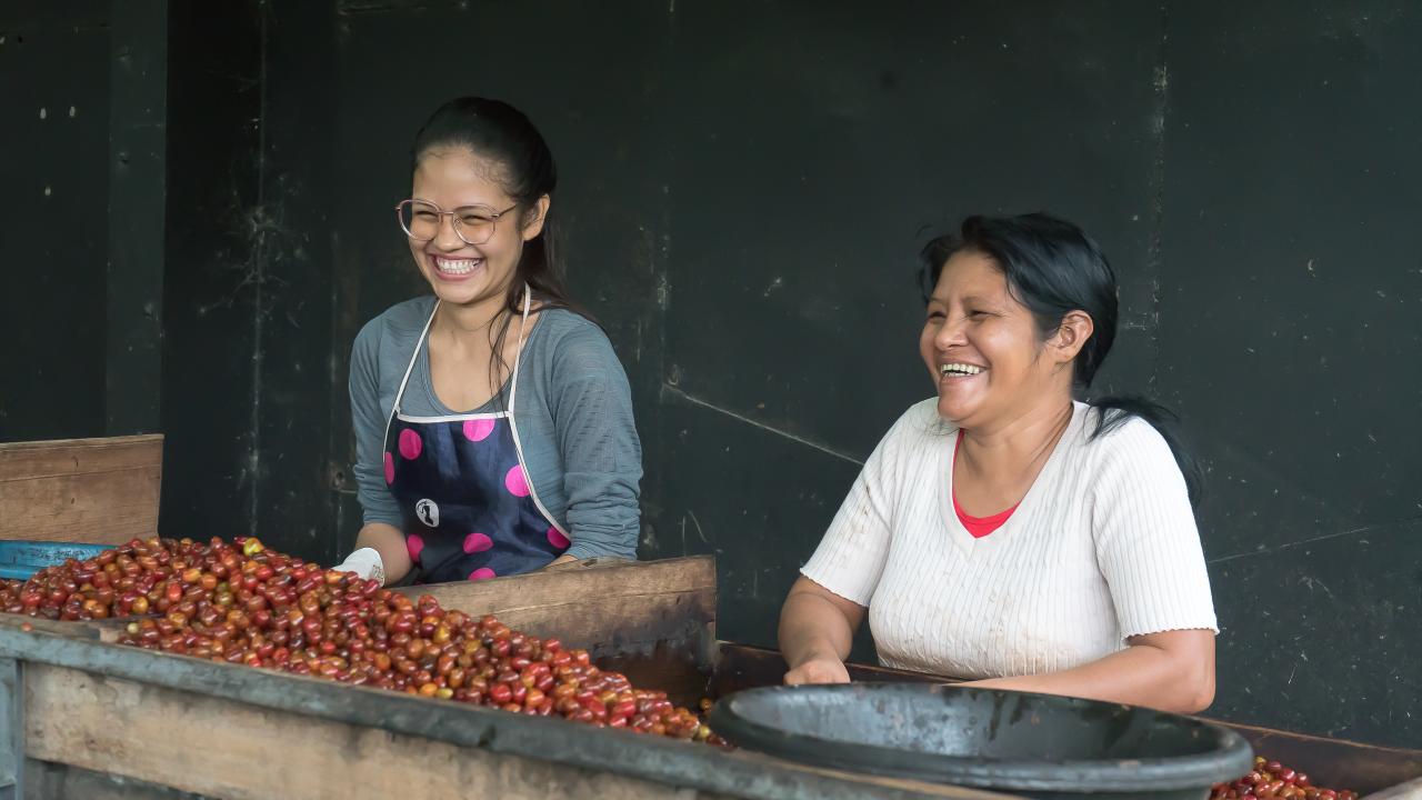FINAGRO ha colocado m�s de $2,66 billones en cr�dito agropecuario para mujeres rurales y campesinas