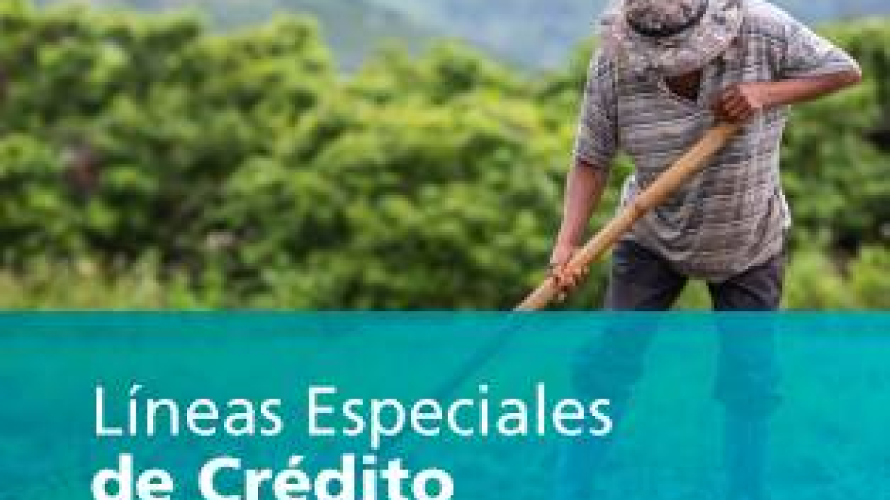 Líneas Especiales de Crédito