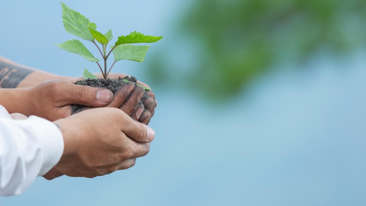 Previo a la #COP16, Finagro inform� que durante 2024 ha desembolsado cr�ditos en Sostenibilidad Clim�tica por $1,54 billones