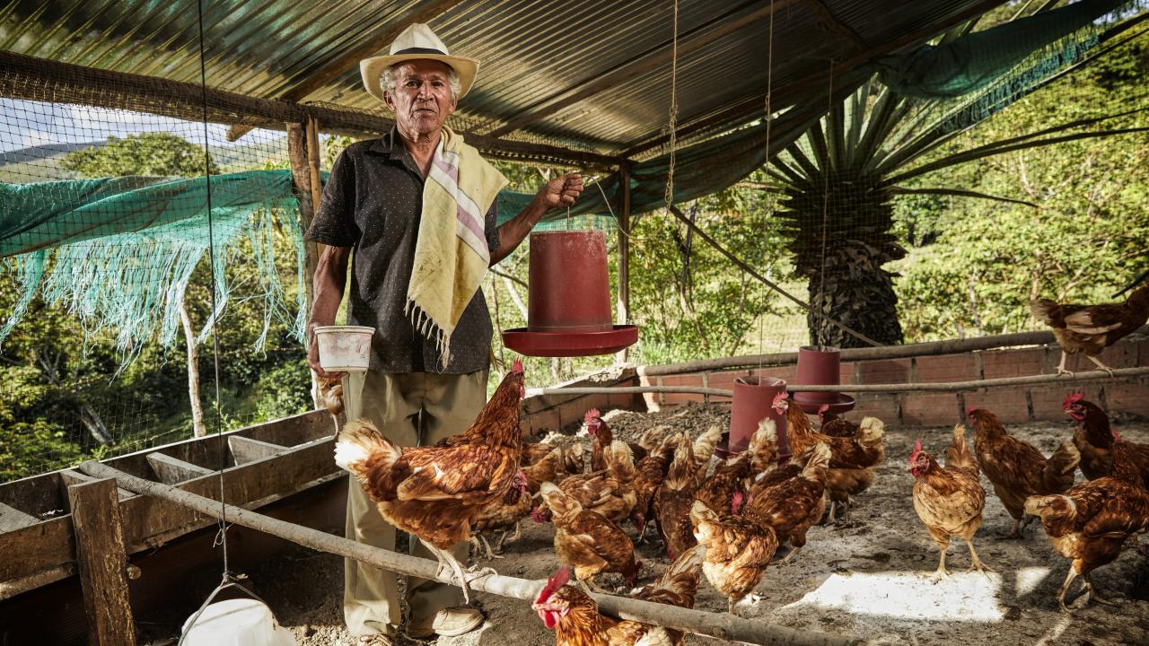 Productores agropecuarios, campesinas y campesinos accedieron a m�s de $12,9 billones en cr�ditos respaldados por el Fondo Agropecuario de Garant�as (FAG)