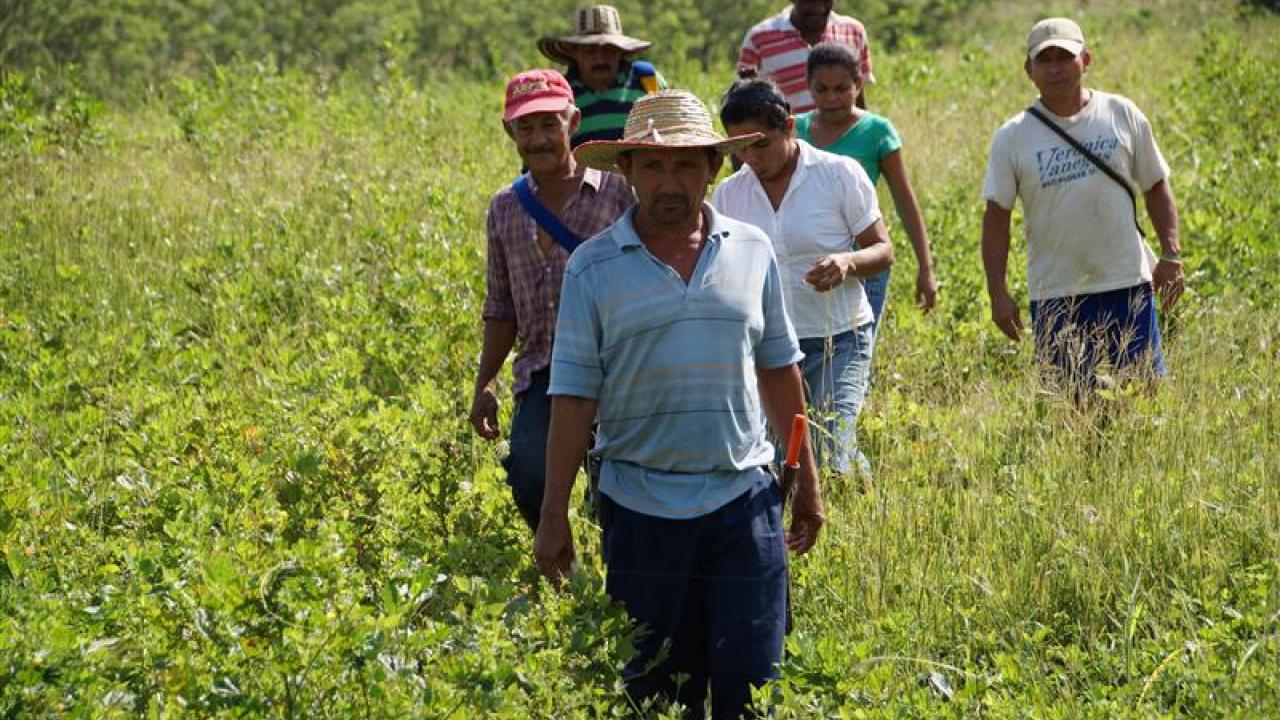 El Fondo Agropecuario de Garant�as ha respaldado inversiones en proyectos agropecuarios por $25 billones durante el Gobierno del presidente Gustavo Petro