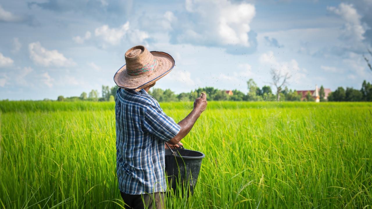 MinAgricultura orienta la Pol�tica de Financiamiento para la condonaci�n de hasta el 100% de intereses en deudas en mora de arroceros y anuncia m�s de $8.000 millones disponibles para subsidiar tasas de inter�s