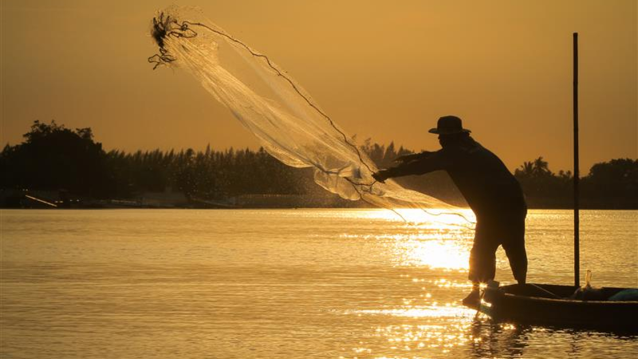MinAgricultura lanza paquete integral de incentivos para fortalecer la gestión de riesgos en el sector acuícola y pesquero