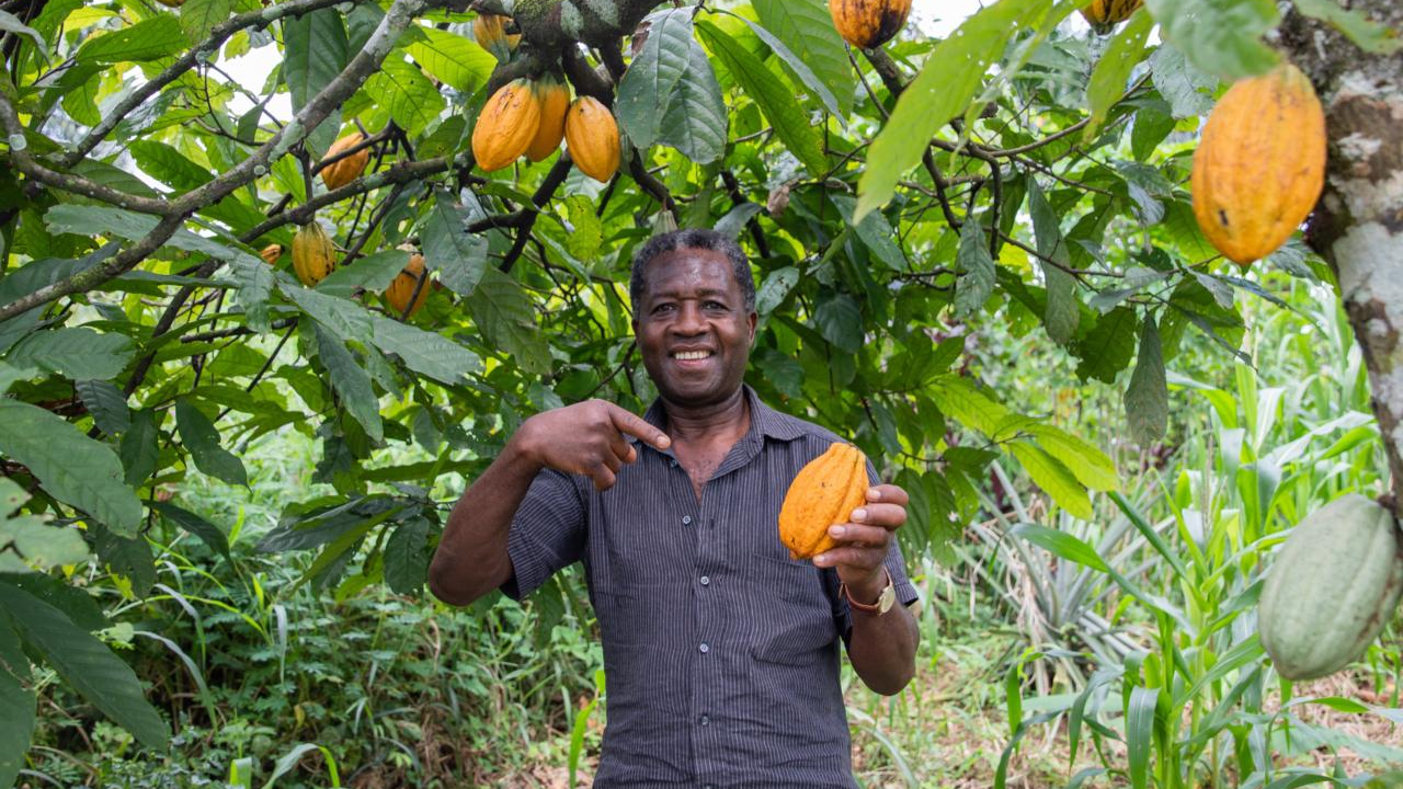 MinAgricultura habilitó nuevos recursos por más  de $25.370 millones para subsidiar tasas de  interés de créditos agropecuarios