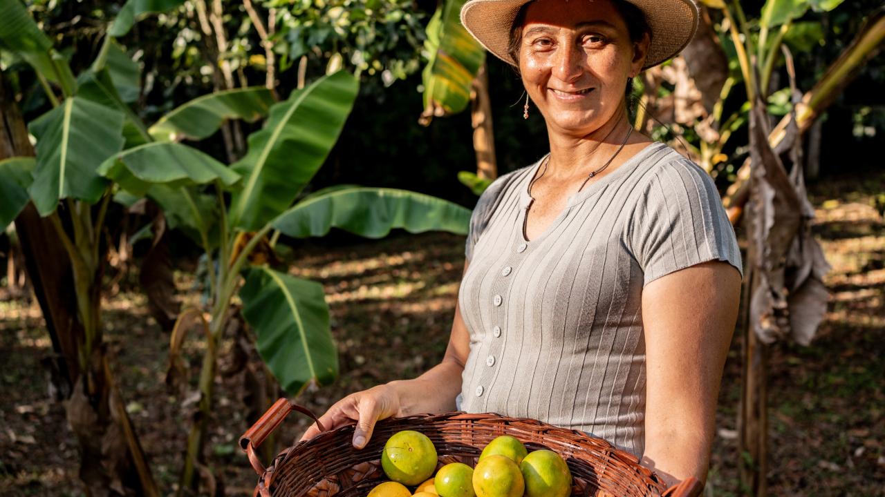 En 2025 el Gobierno Nacional irrig�, a trav�s de Finagro, $48,1  billones en cr�dito de fomento al campo colombiano, la mayor  colocaci�n en la historia de la entidad 