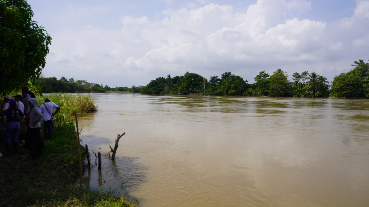 MinAgricultura prevé movilizar hasta $2 billones  con nuevo programa especial de crédito para  productores afectados por la ola invernal 