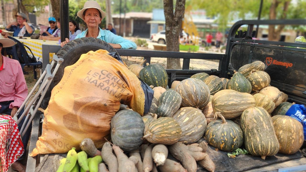 MinAgricultura destin� m�s de $147.000 millones  para subsidios a la tasa e incentivos que aceleren  la inversi�n en el campo colombiano 