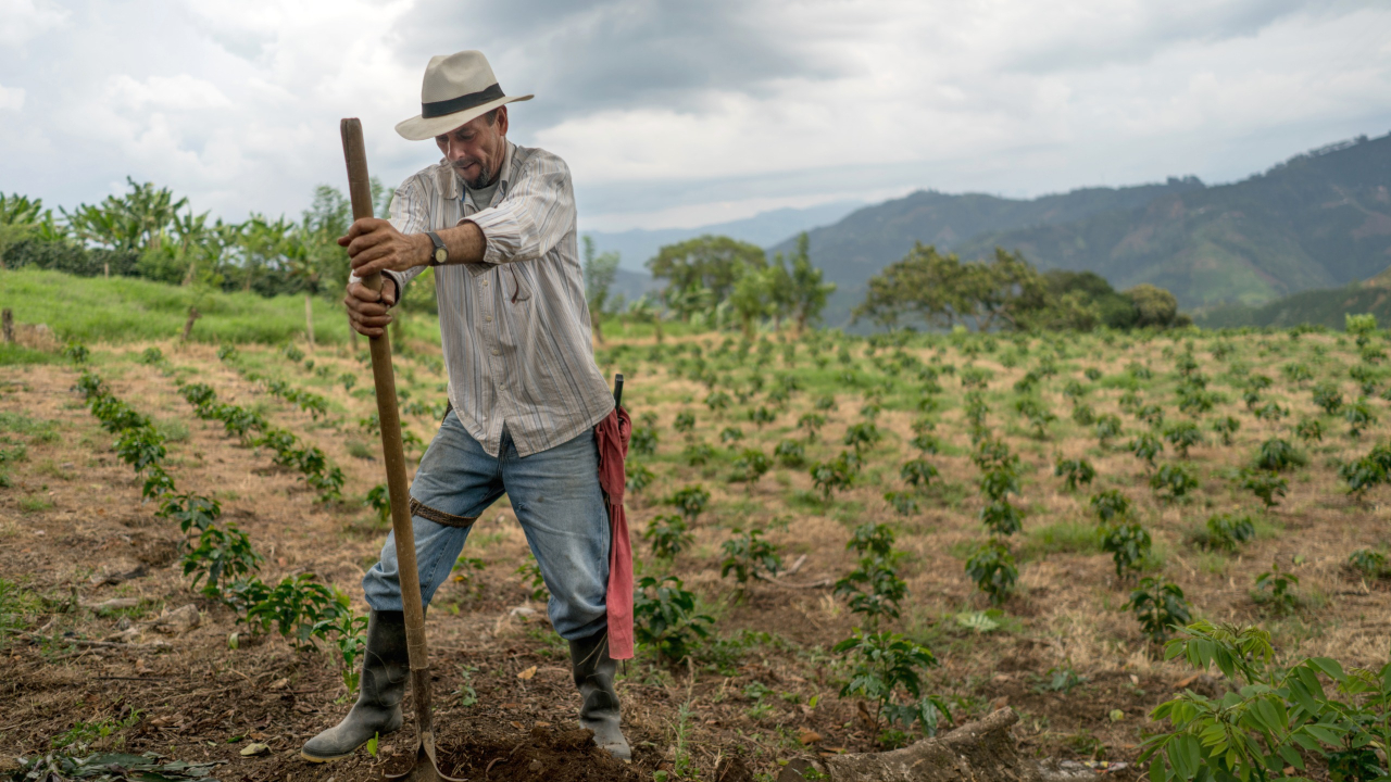 MinAgricultura habilitará $67.272 millones en subsidios para que campesinos y campesinas adquieran un seguro agropecuario ante los riesgos del Fenómeno de ‘El Niño’