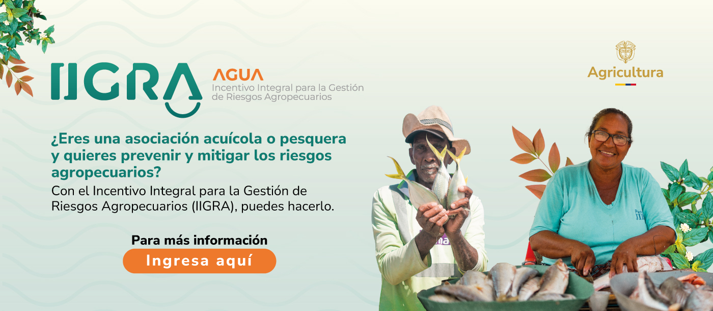 Pescadores con su producto