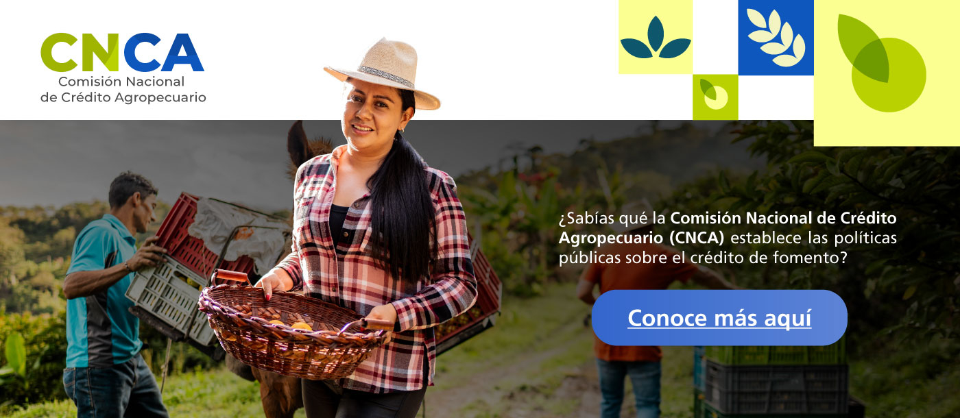 Campesina con canasta y sus productos