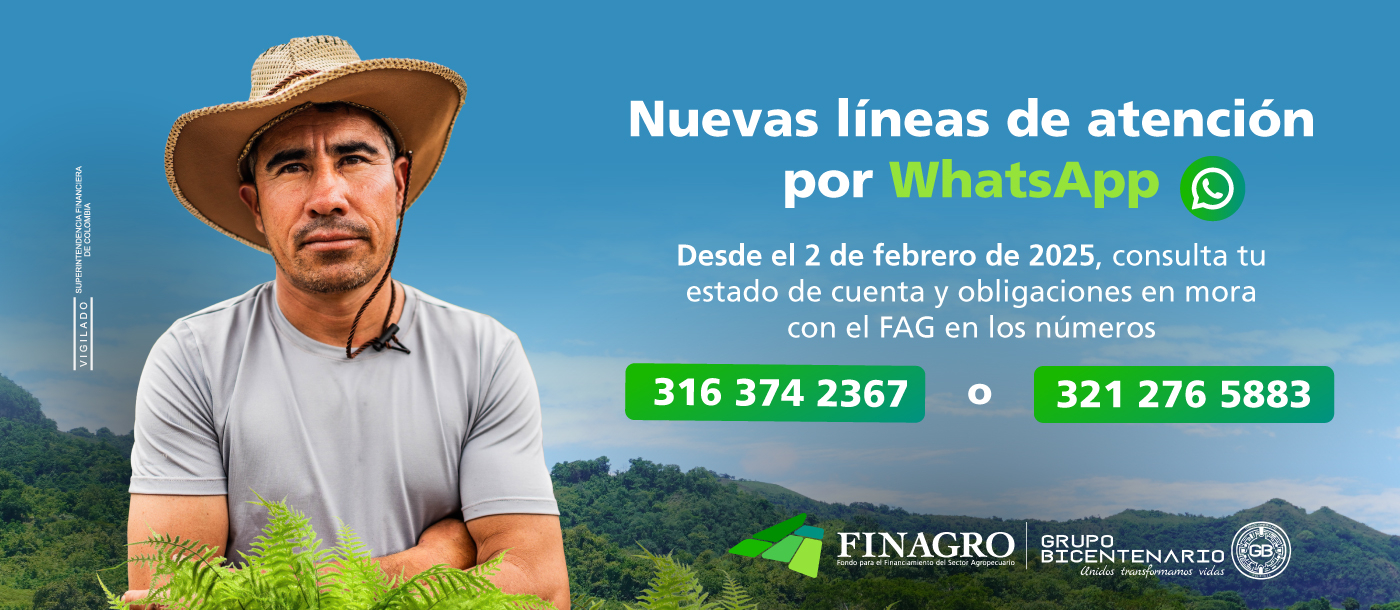 WhatsApp - Recuperación de cartera