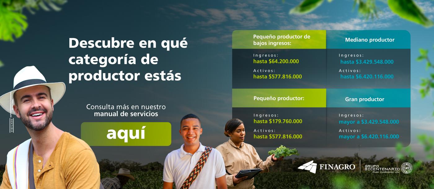Categoría de productores 