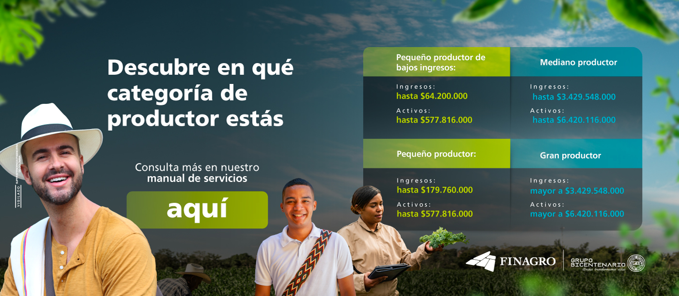 Categoría productores 