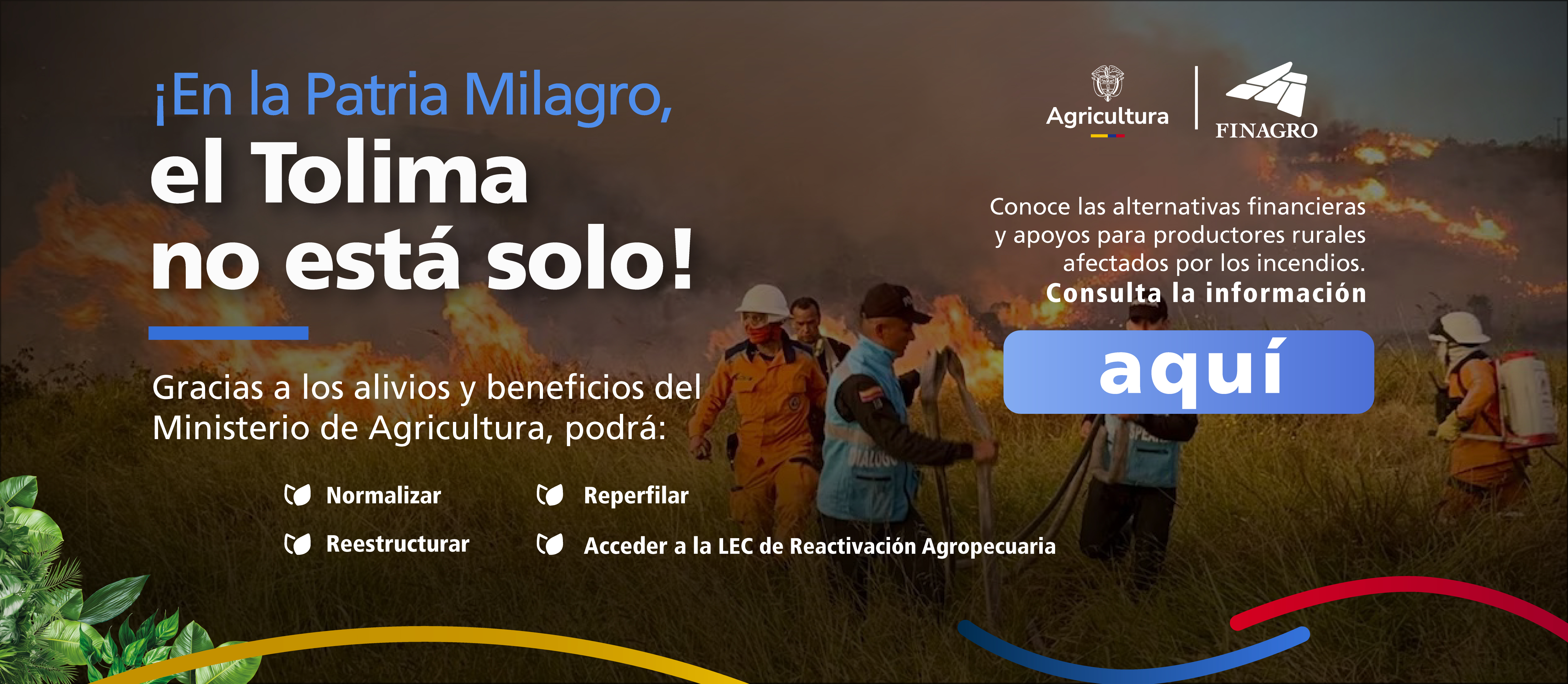 ¡Tolima no está solo!