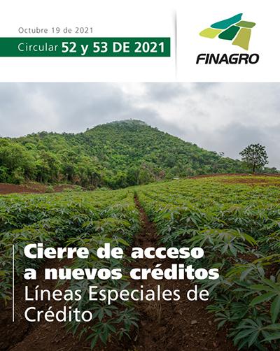 circular-52-portada_0.jpg