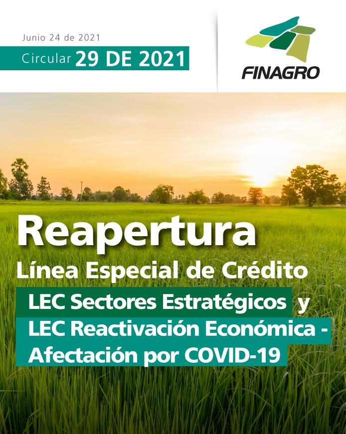 p29_reapertura-lec.jpg