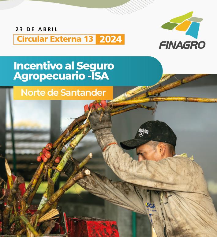 Circular Externa 13 de 2024