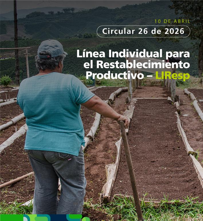 Circular Externa 26 de 2026